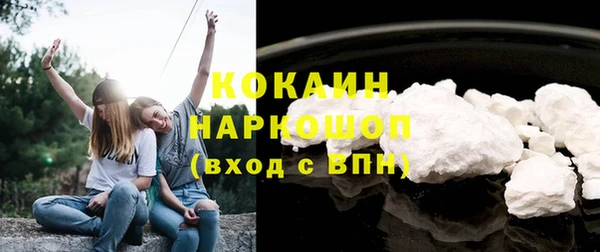 прущие грибы Ачинск
